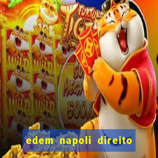 edem napoli direito constitucional pdf